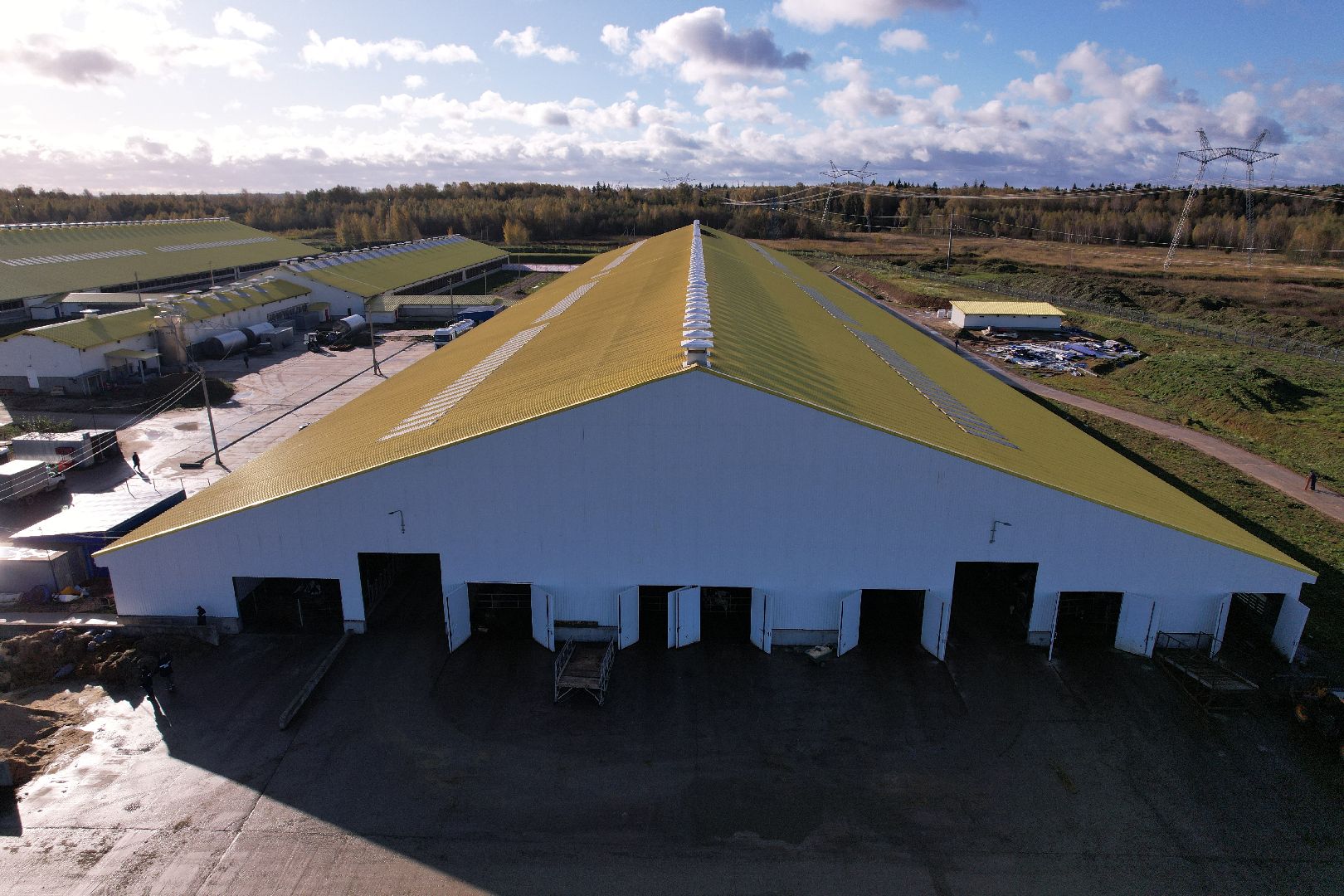 ферма, волоколамск, коровы, молоко,видео с коптера,