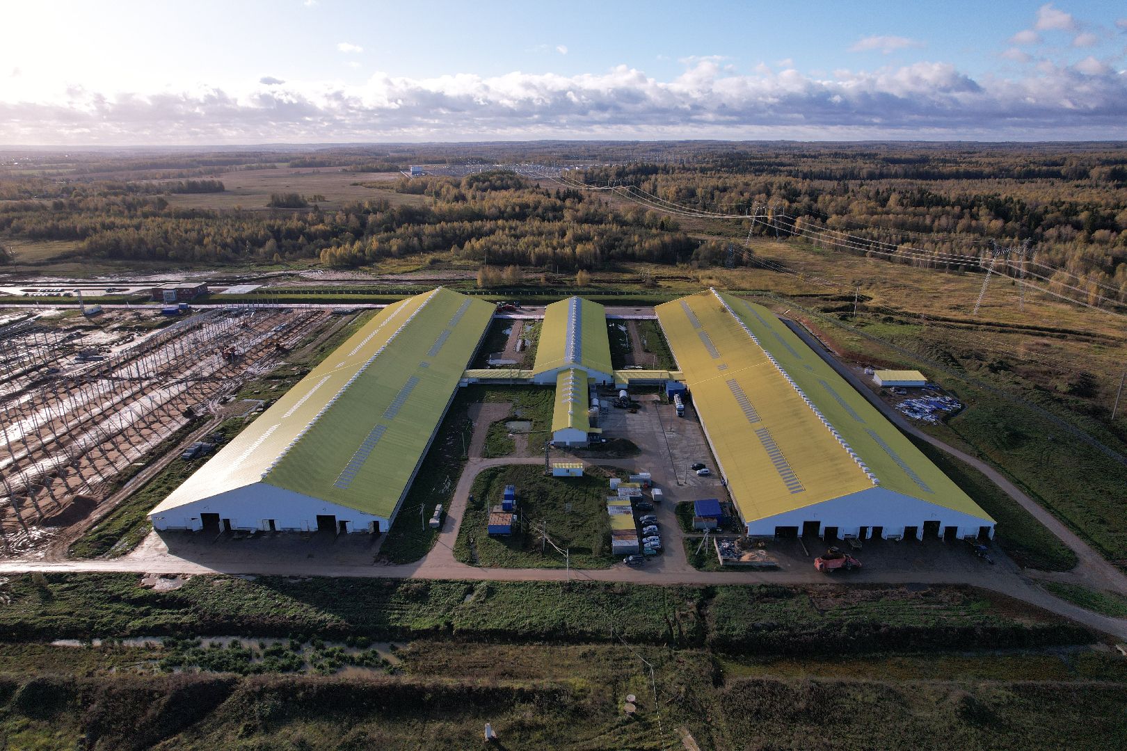 ферма, волоколамск, коровы, молоко,видео с коптера,