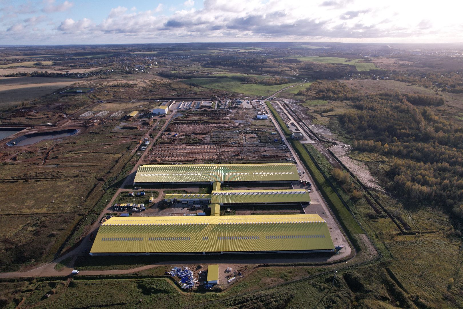 ферма, волоколамск, коровы, молоко,видео с коптера,