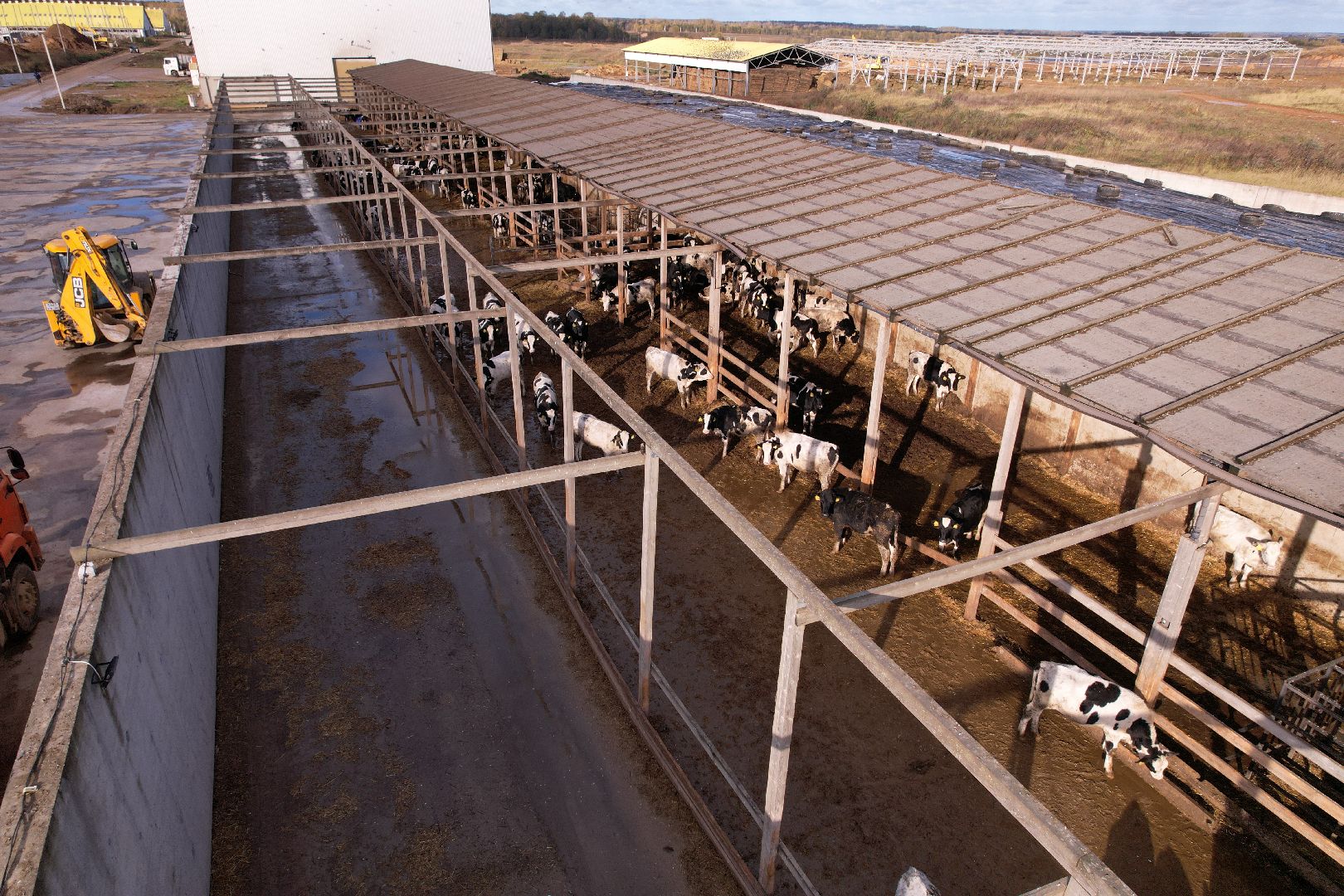 ферма, волоколамск, коровы, молоко,видео с коптера,