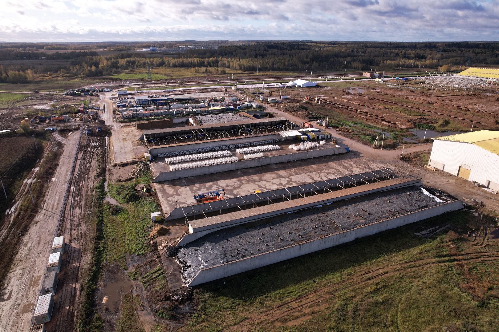 ферма, волоколамск, коровы, молоко,видео с коптера,