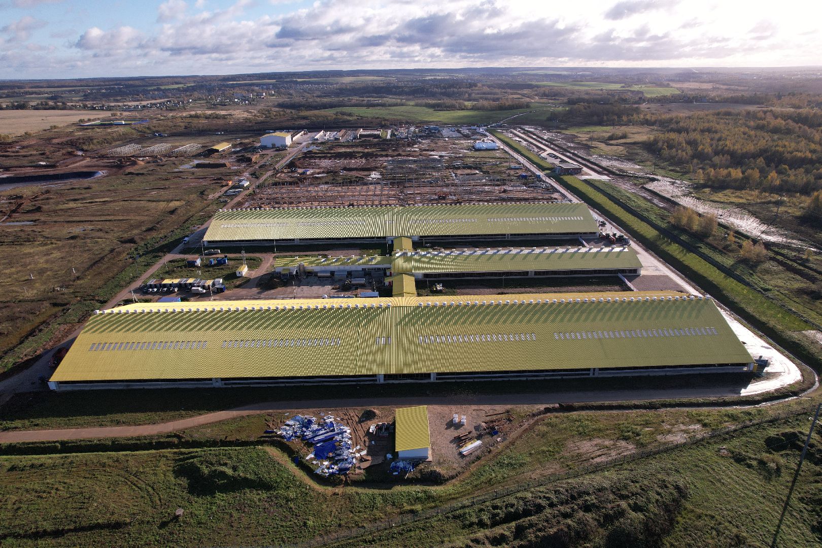 ферма, волоколамск, коровы, молоко,видео с коптера,