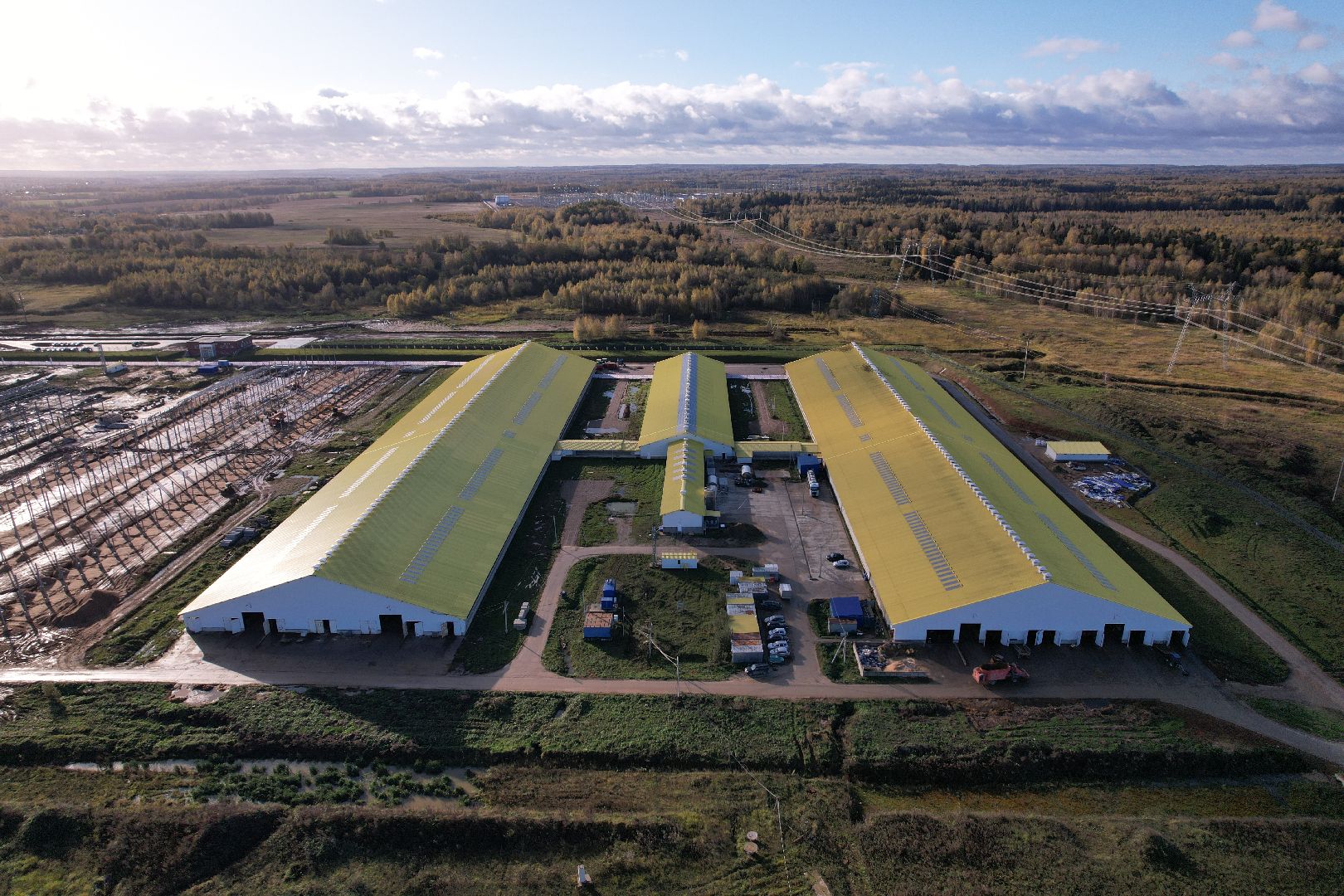 ферма, волоколамск, коровы, молоко,видео с коптера,