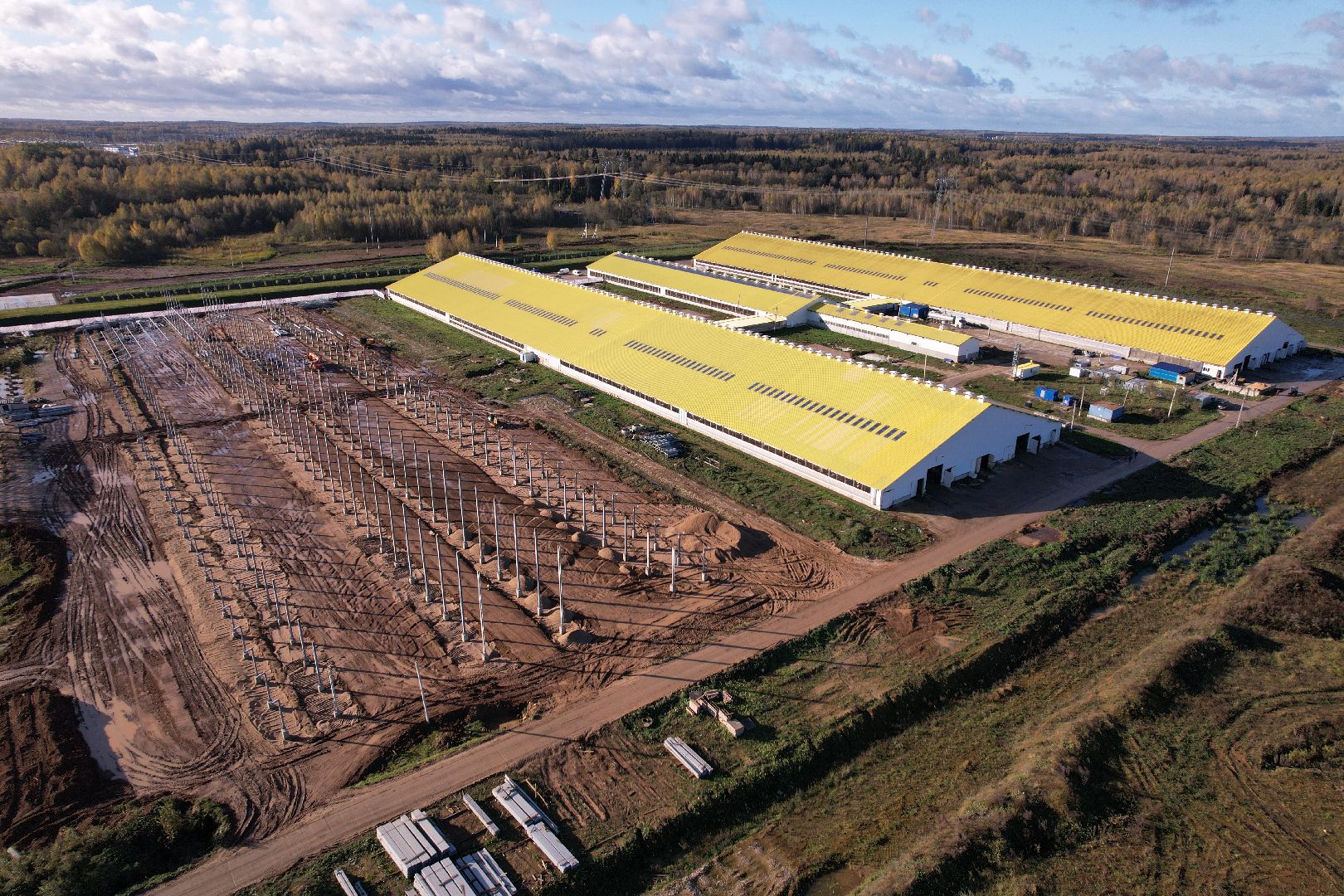 ферма, волоколамск, коровы, молоко,видео с коптера,