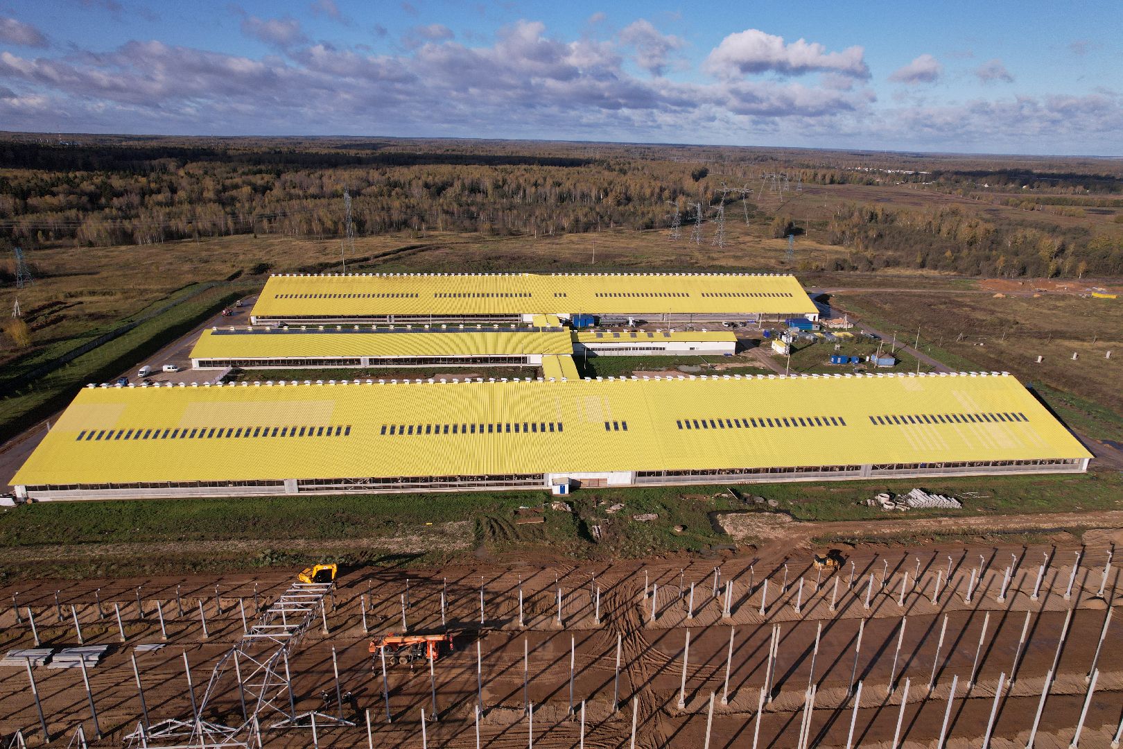 ферма, волоколамск, коровы, молоко,видео с коптера,