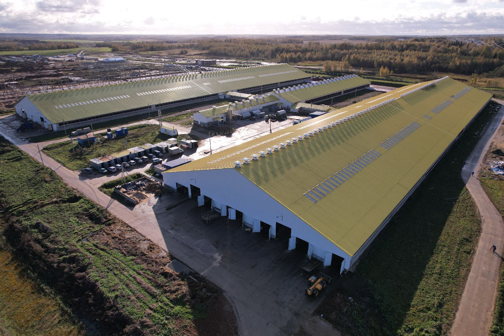 ферма, волоколамск, коровы, молоко,видео с коптера,