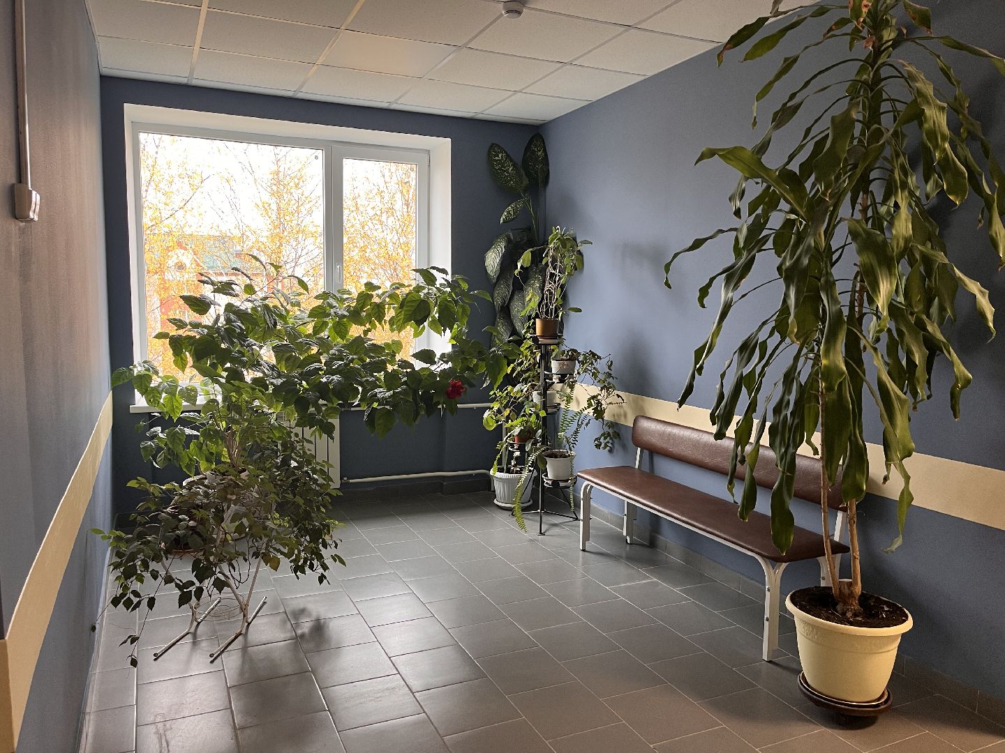 шаховская, врач, травматология, больница,