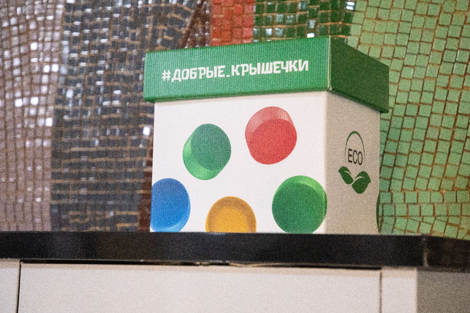 лыткарино, общество, экология, образование,