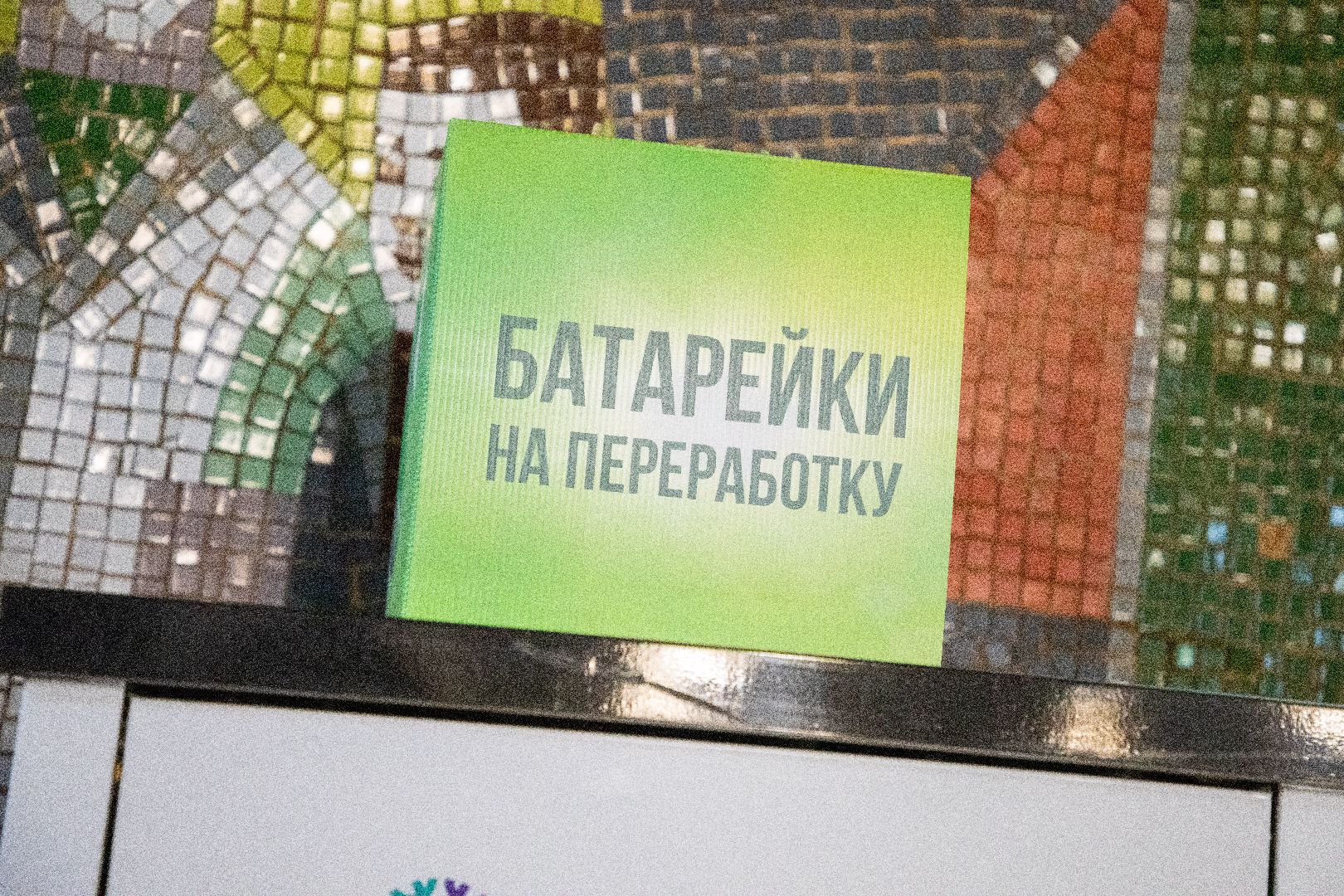 лыткарино, общество, экология, образование,