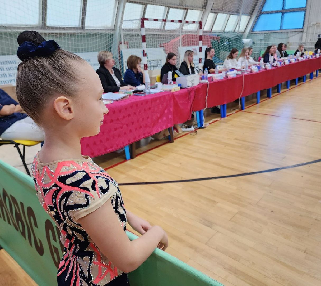 Солнечногорск, Аэробика, Кубок, Чемпионат, Спорт,