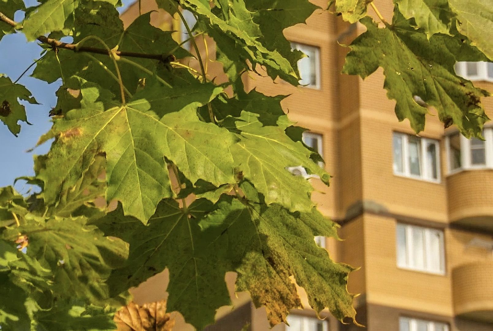 Клин, общество, благоустройство, строительство, перемены,