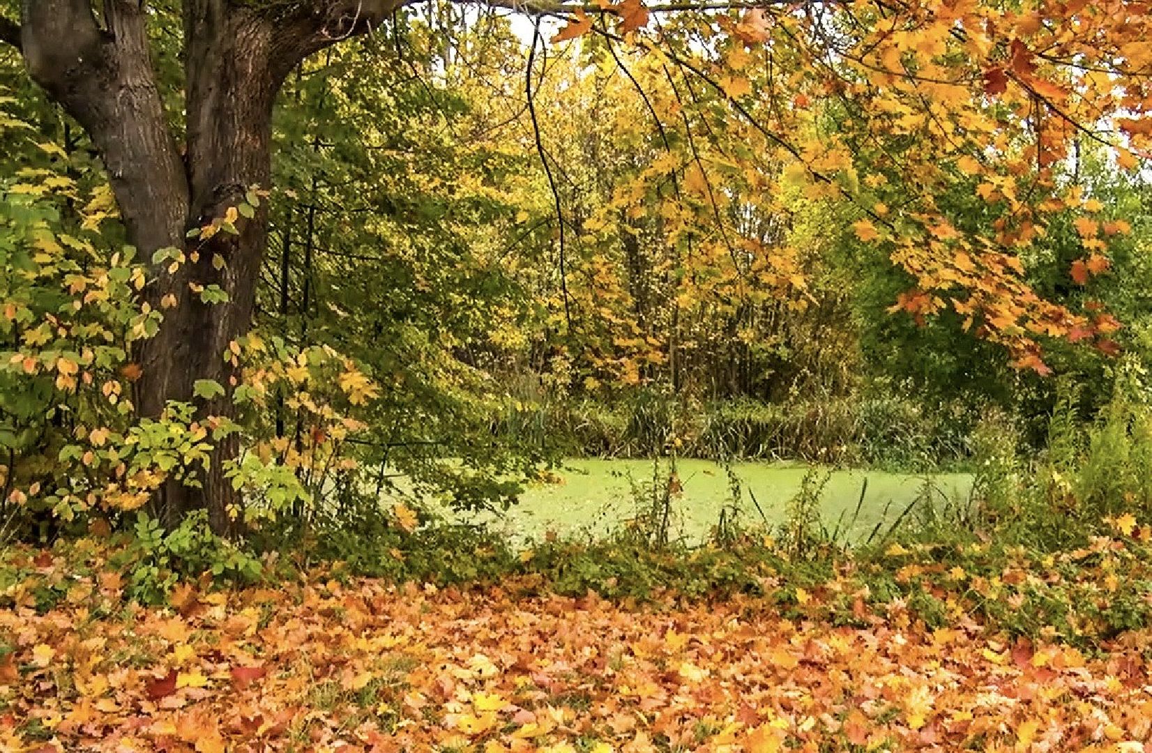 Клин, общество, благоустройство, строительство, перемены,