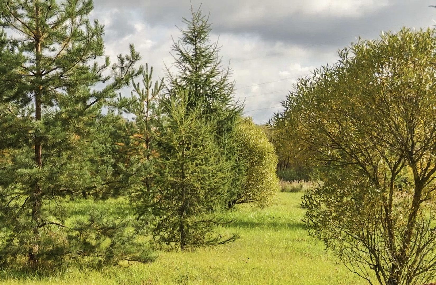 Клин, общество, благоустройство, строительство, перемены,