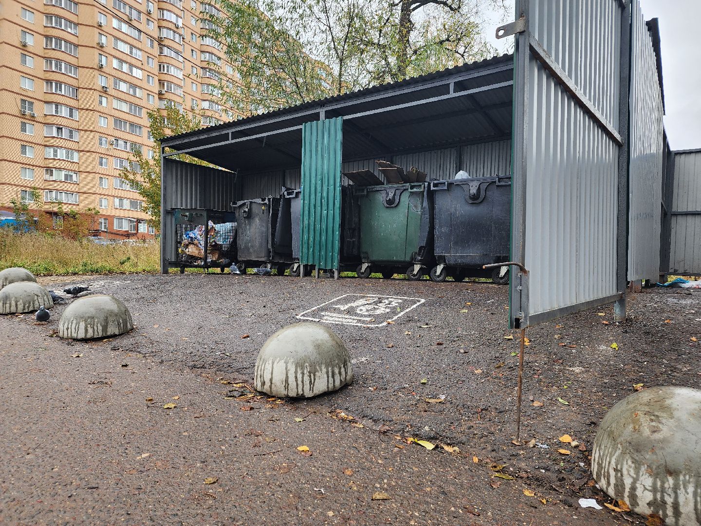 дедовск, Мусорка, контейнерная площадка,