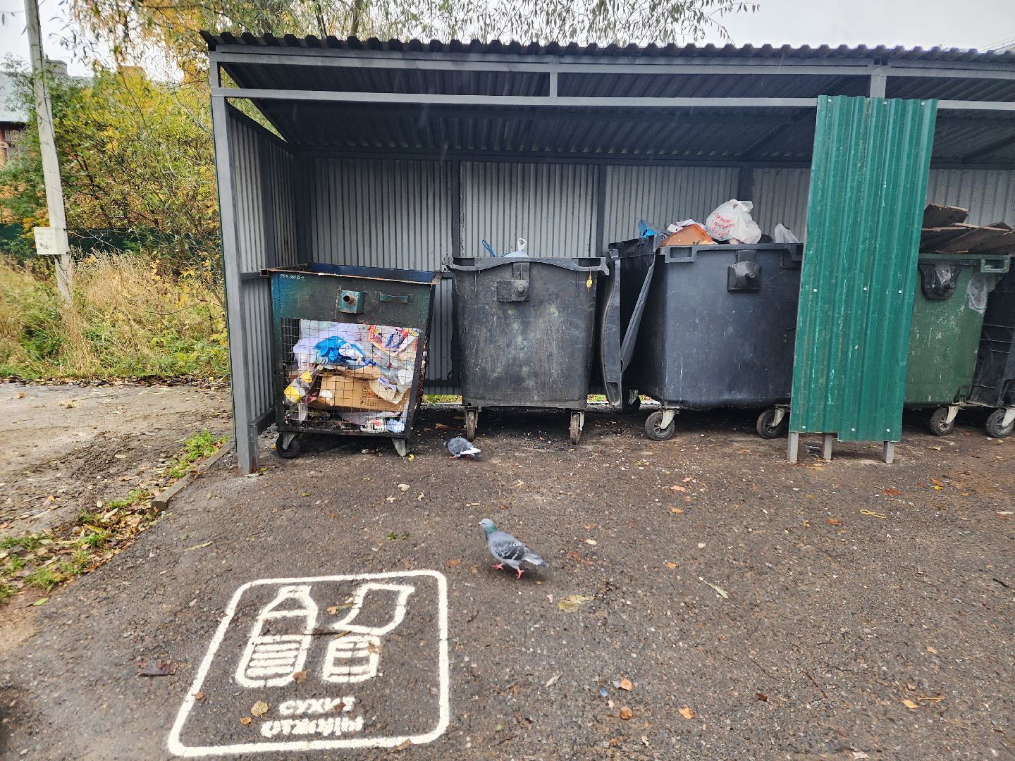 дедовск, Мусорка, контейнерная площадка,