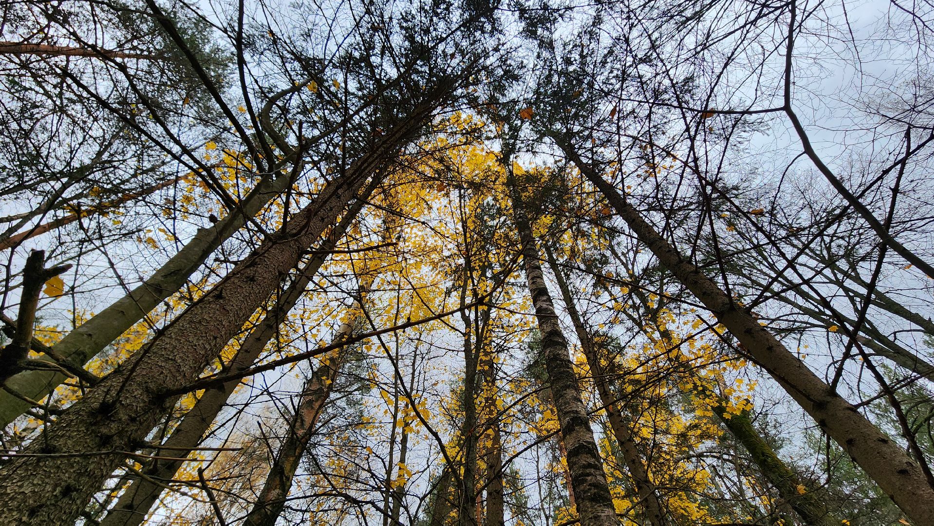 Курилово, Большая Шатура, экспедиция, Молодежный совет, Шатурское благочиние,