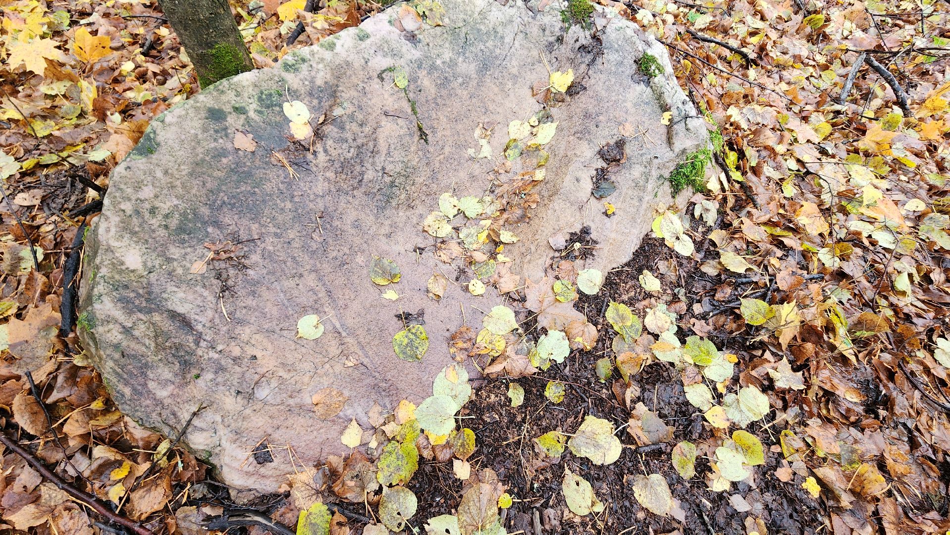 Курилово, Большая Шатура, экспедиция, Молодежный совет, Шатурское благочиние,