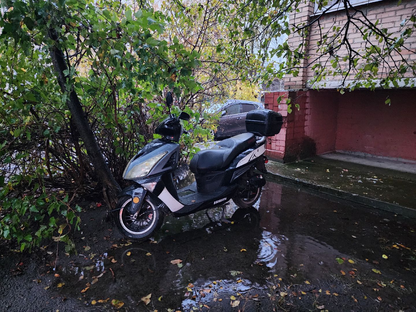 шатура, выездная администрация, городской округ, городской округ люди, интернациональная,