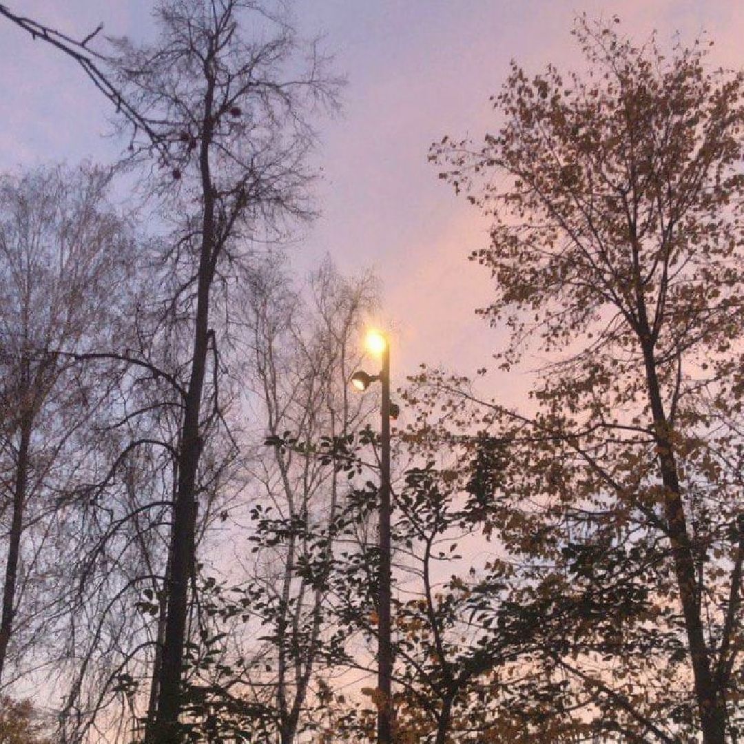 воскресенск, благоустройство, сквер, жители,