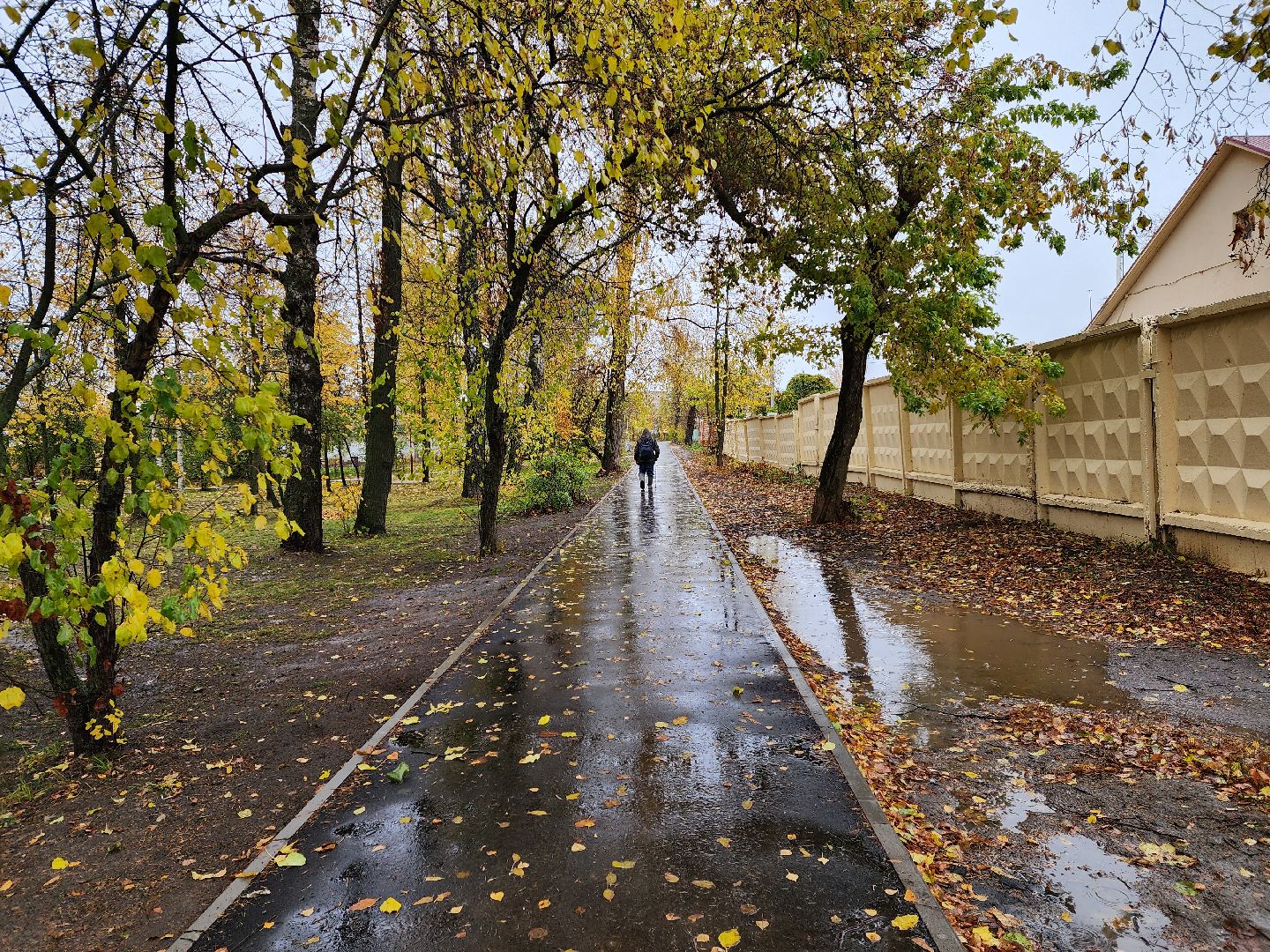 воскресенск, благоустройство, сквер, жители,