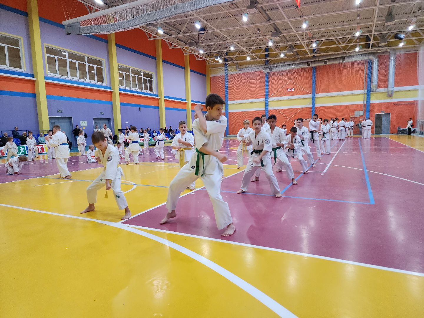 ступино, карате, шихан виктор апарин, ккушин-карате,