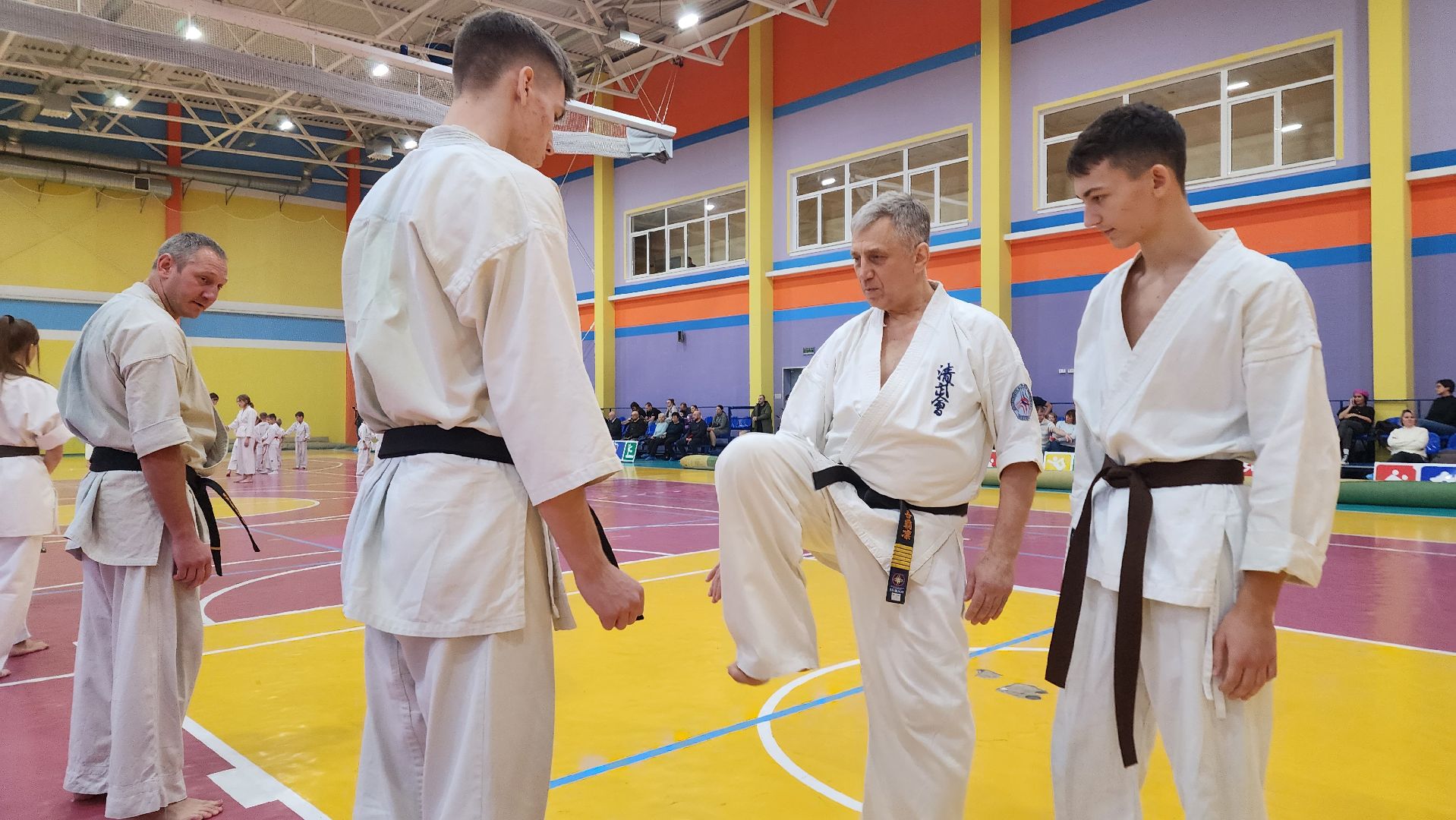 ступино, карате, шихан виктор апарин, ккушин-карате,