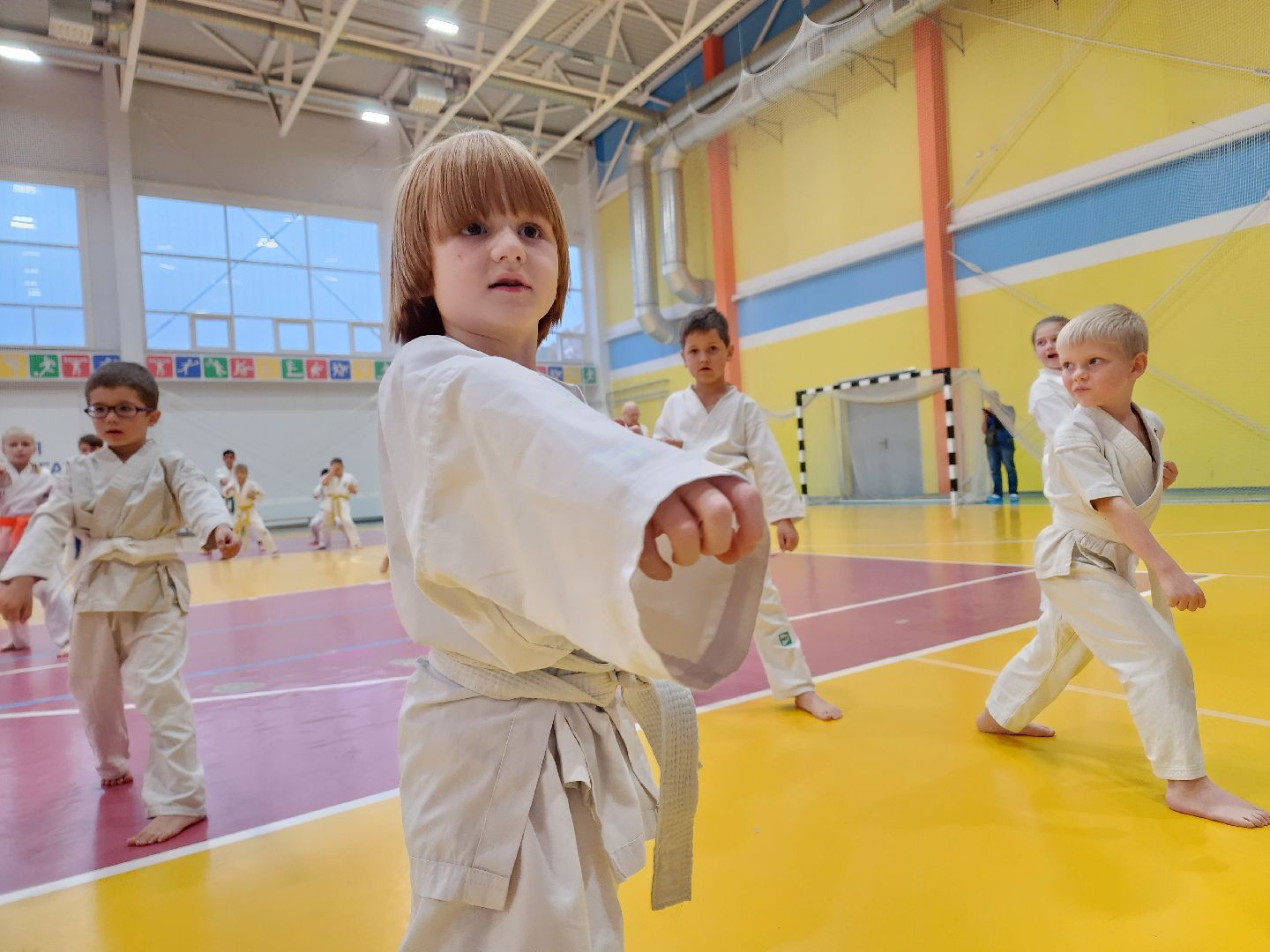 ступино, карате, шихан виктор апарин, ккушин-карате,