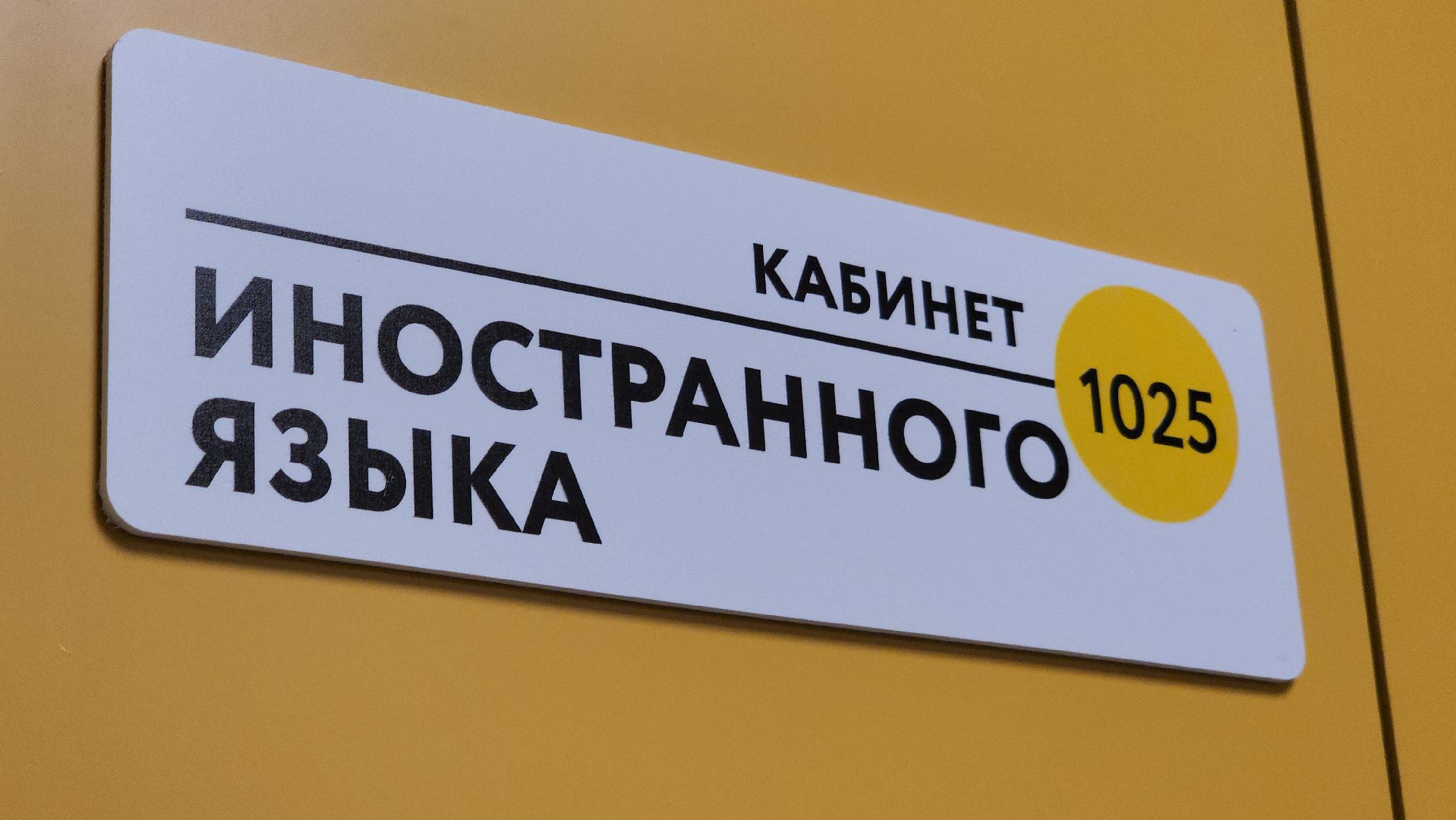 павловский посад, городской округ павловский посад, люди, школа, учитель, обучение, образование,