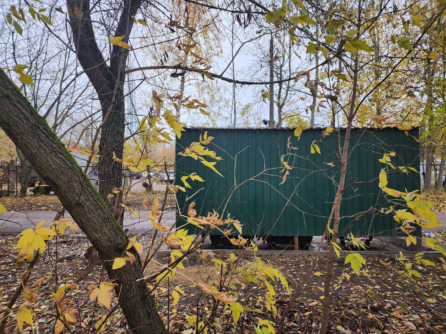 Свалка, Мусорка, контейнерная площадка, красногорск,