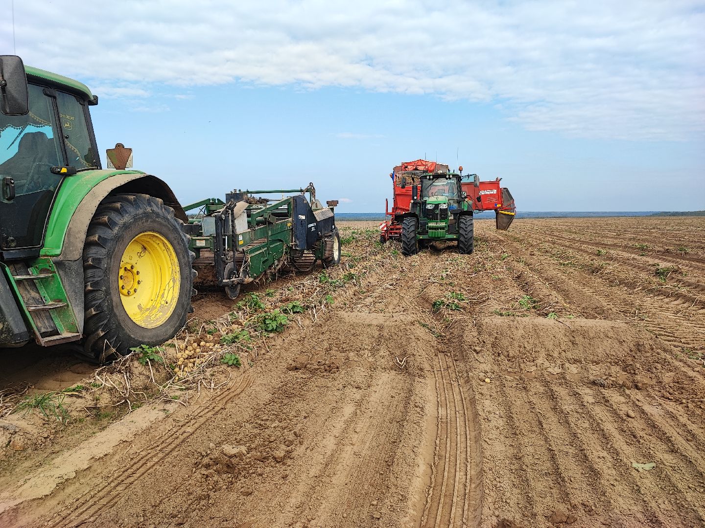 Клин, экономика, сельское хозяйство, люди, картофель,
