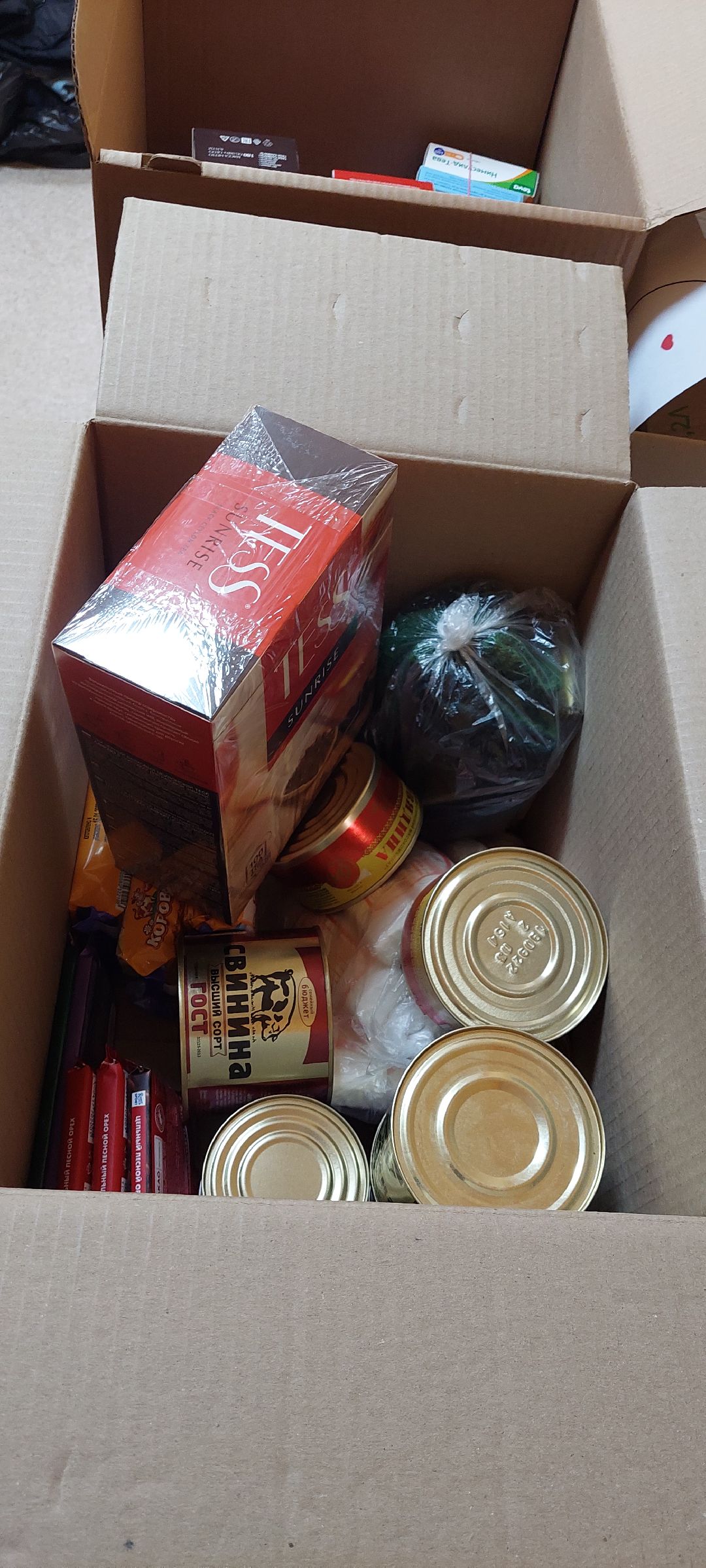 Пущино, волонтеры