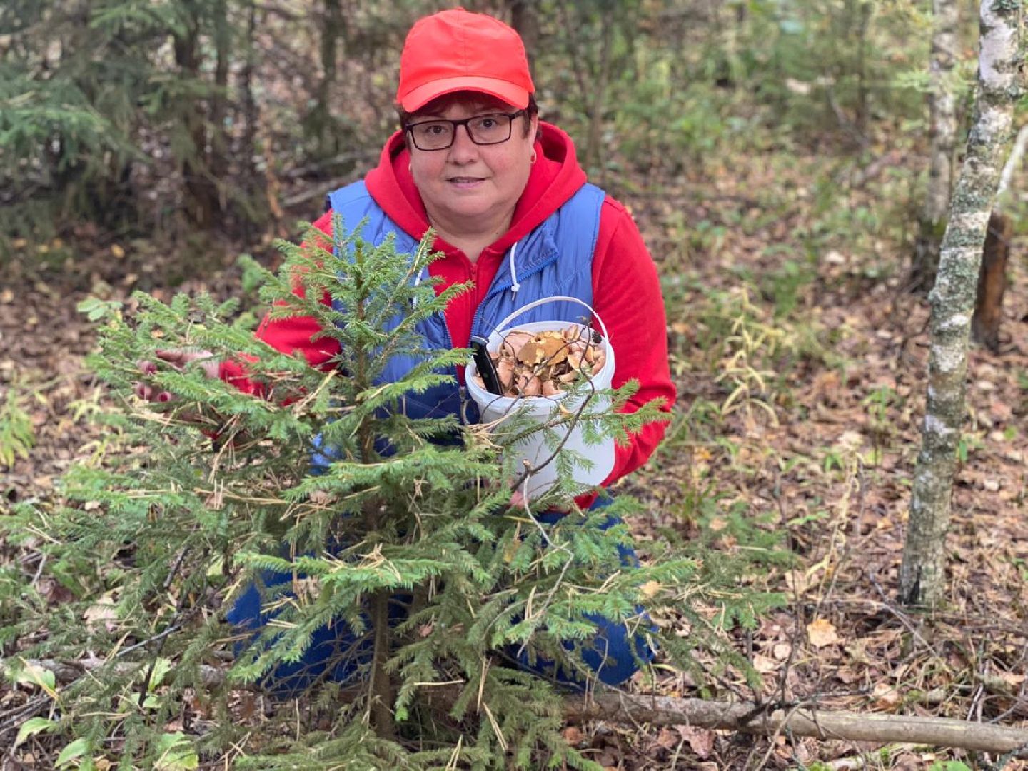 осень, грибы, лучшие рецепты, леса подмосковья, хобби,