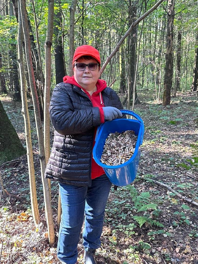осень, грибы, лучшие рецепты, леса подмосковья, хобби,