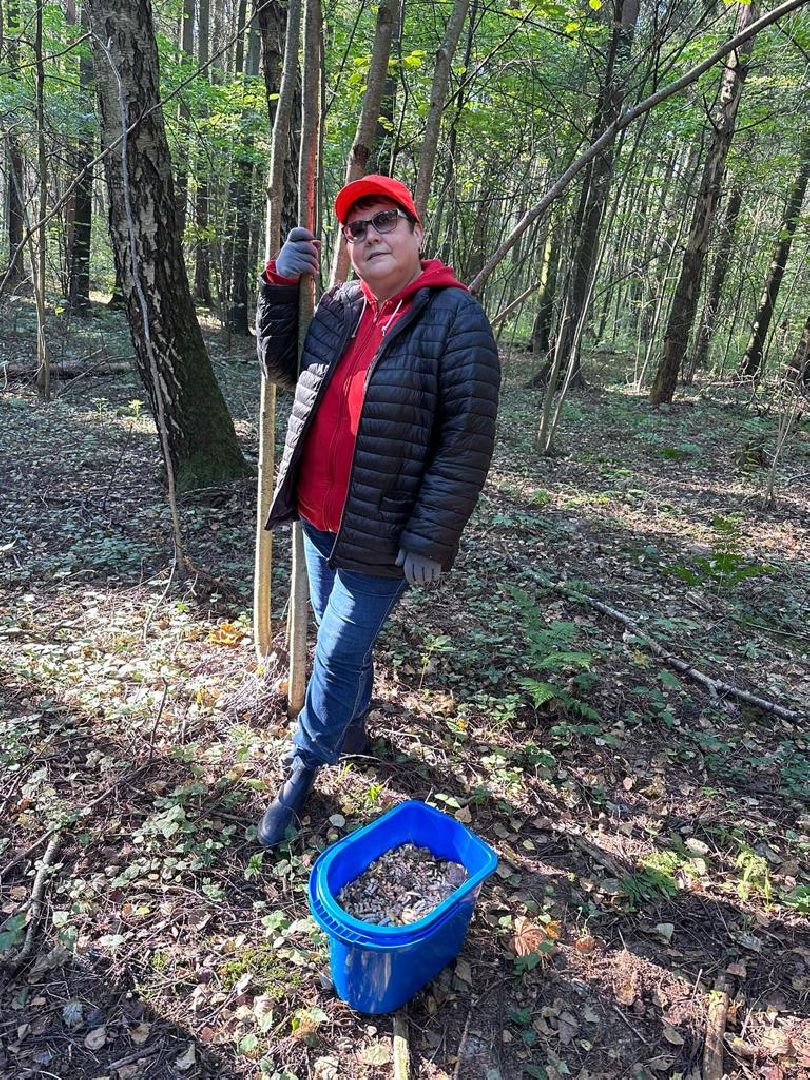 осень, грибы, лучшие рецепты, леса подмосковья, хобби,