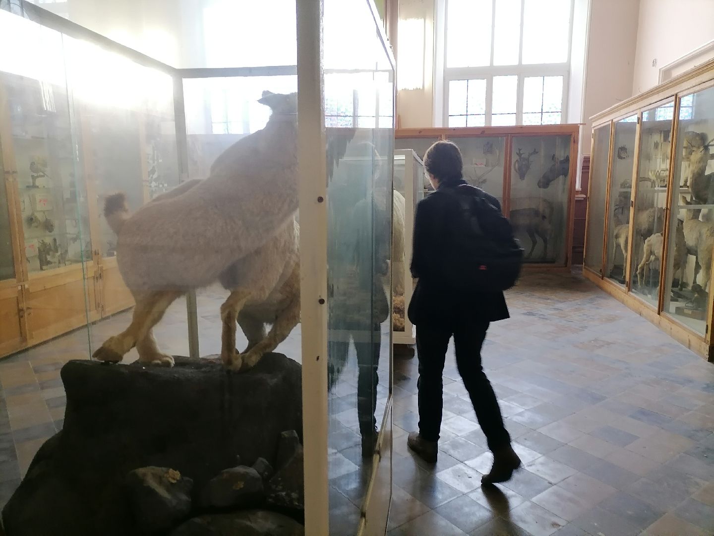 русское географическое общество, орехово-зуево,образование, университетт,