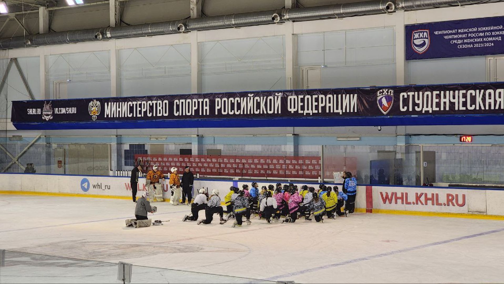 Дмитров, Торнадо, ЖХЛ,