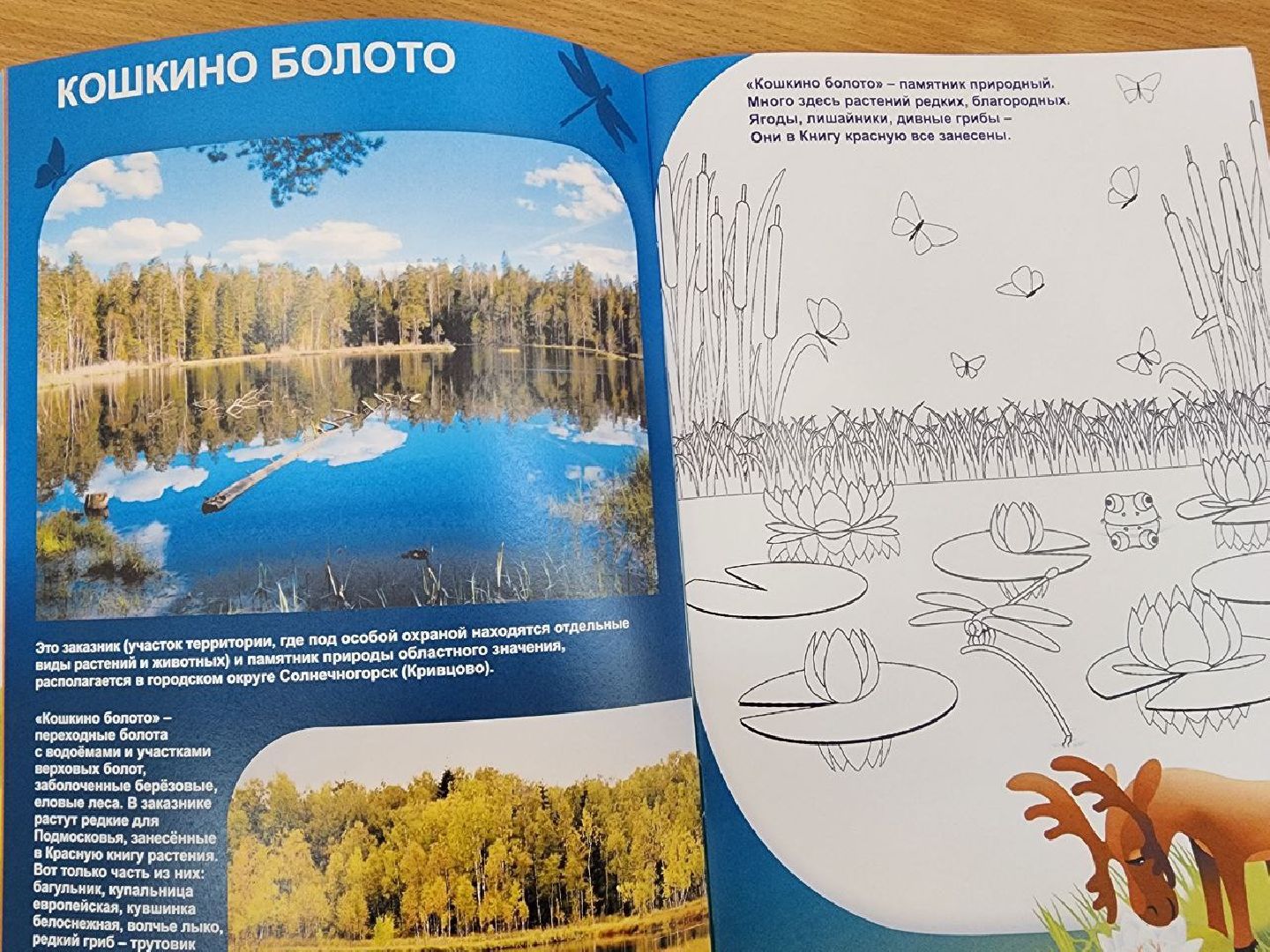 Солнечногорск, Раскраска, История округа, Дети, Библиотека,