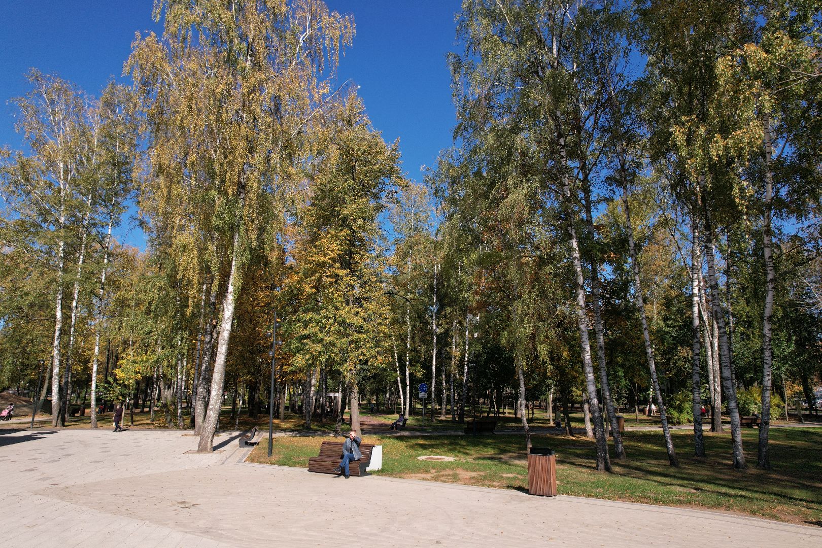 пушкино, парк, центральный,видео с коптера,