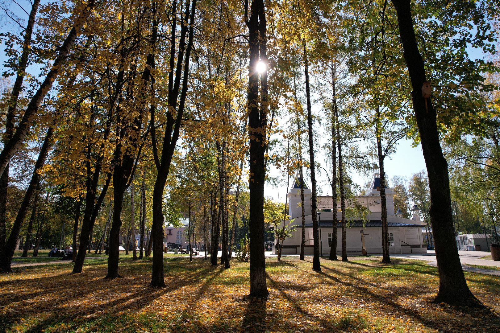 пушкино, парк, центральный,видео с коптера,