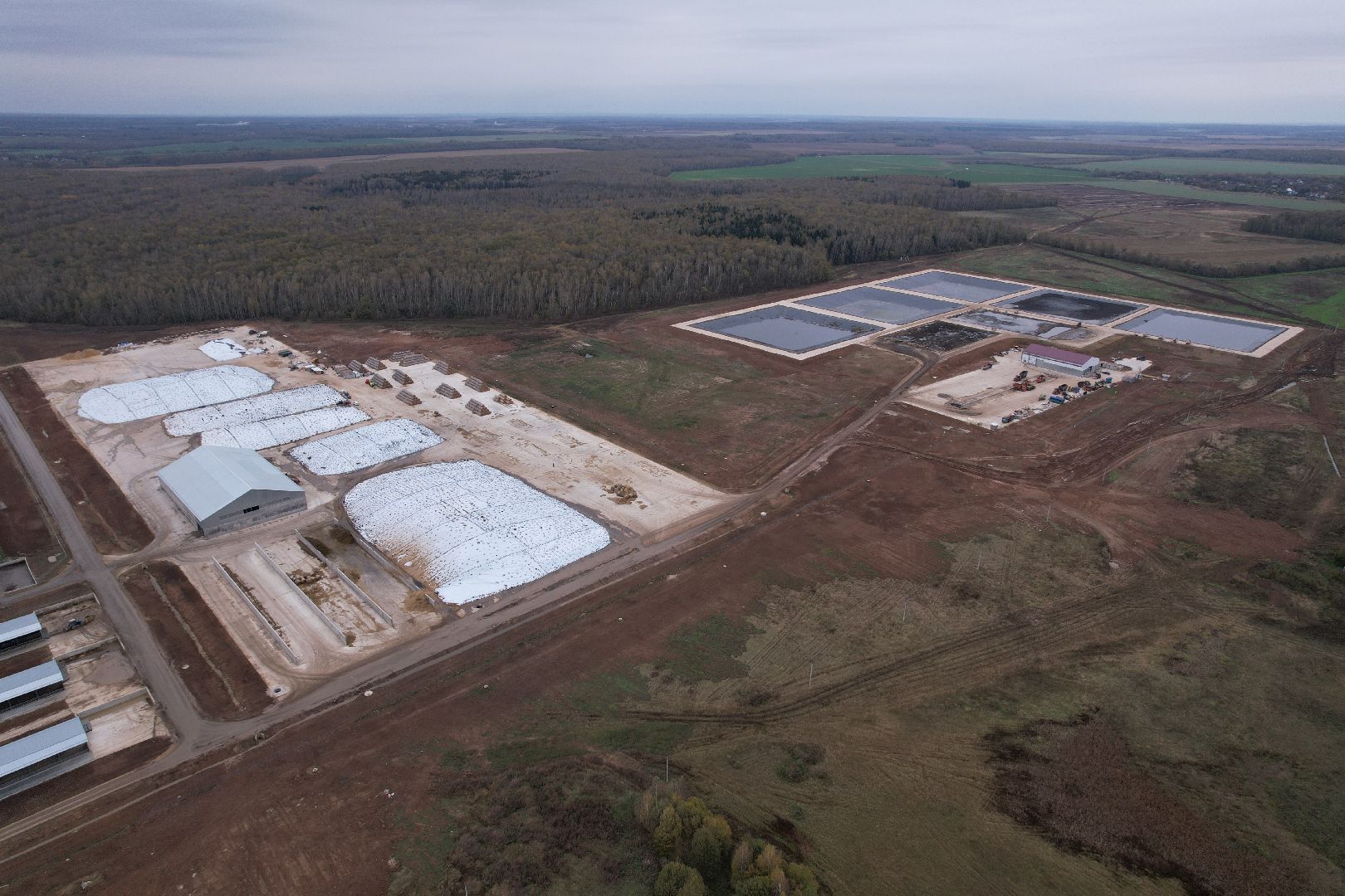 ступино, ферма, коровы,видео с коптера,