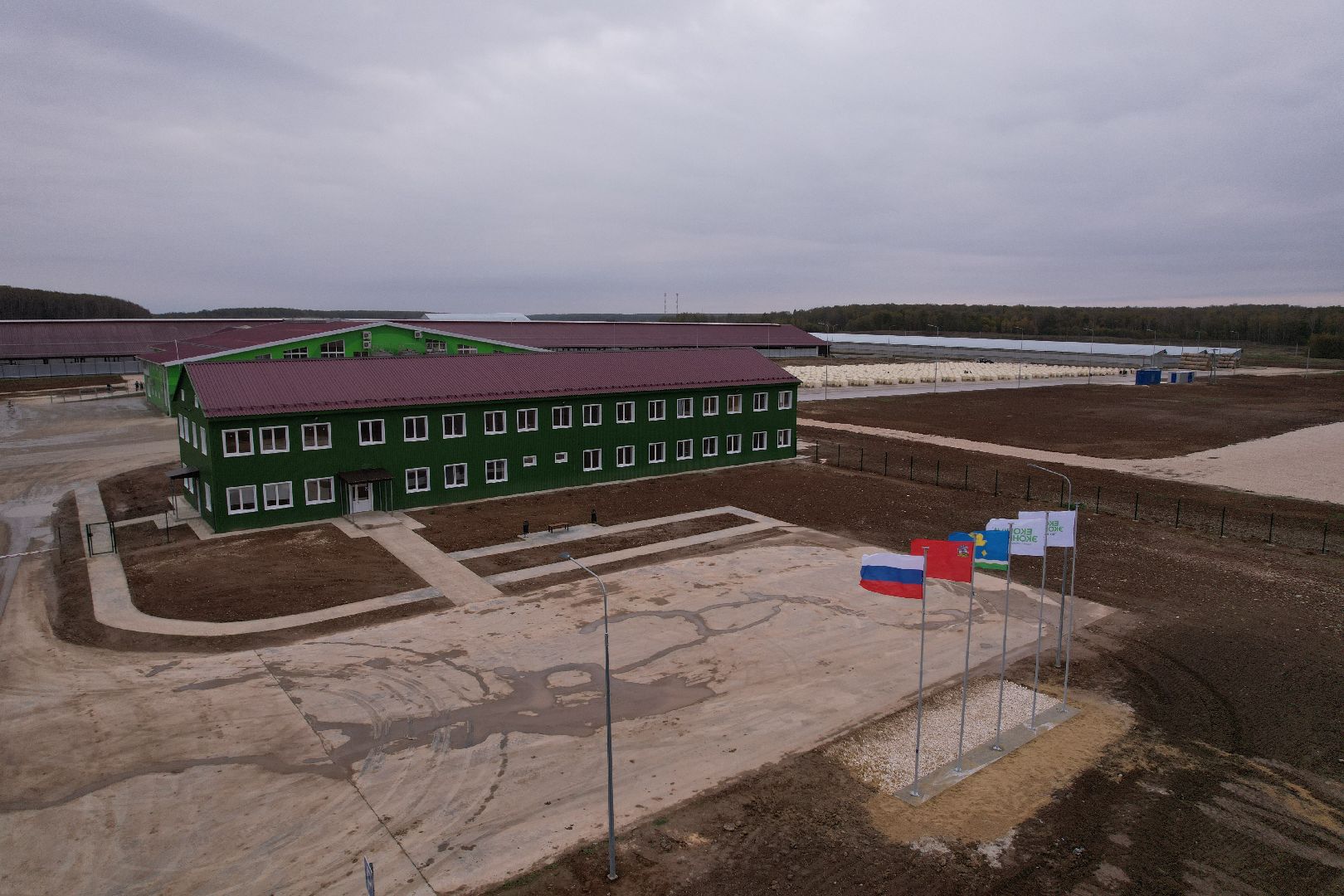 ступино, ферма, коровы,видео с коптера,