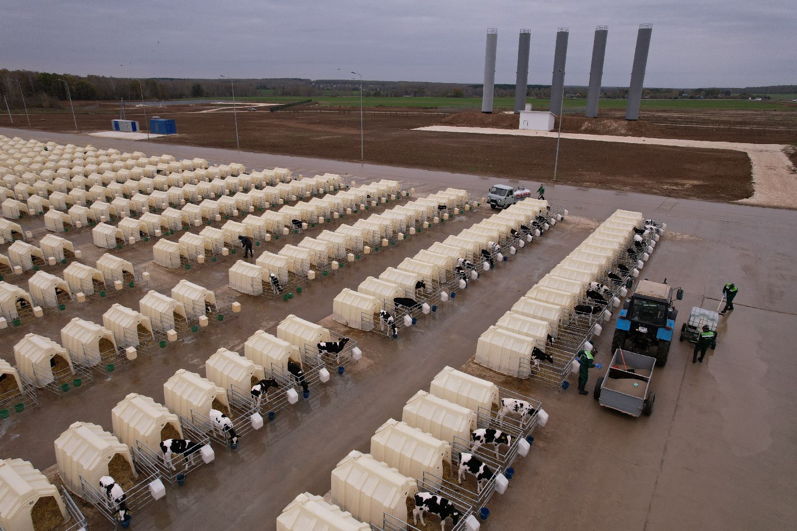 ступино, ферма, коровы,видео с коптера,