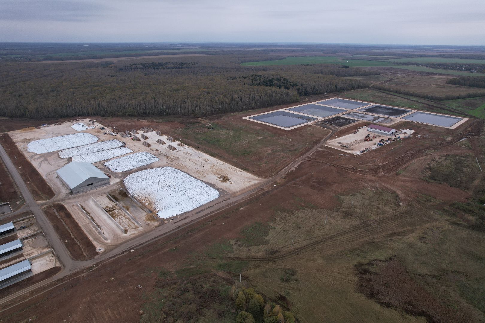 ступино, ферма, коровы,видео с коптера,