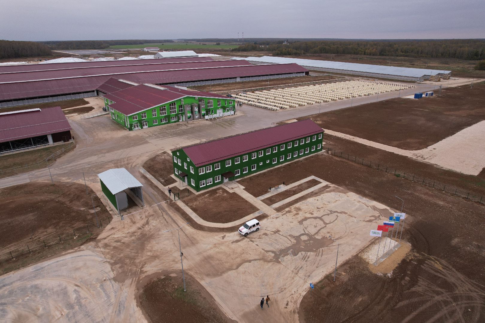 ступино, ферма, коровы,видео с коптера,