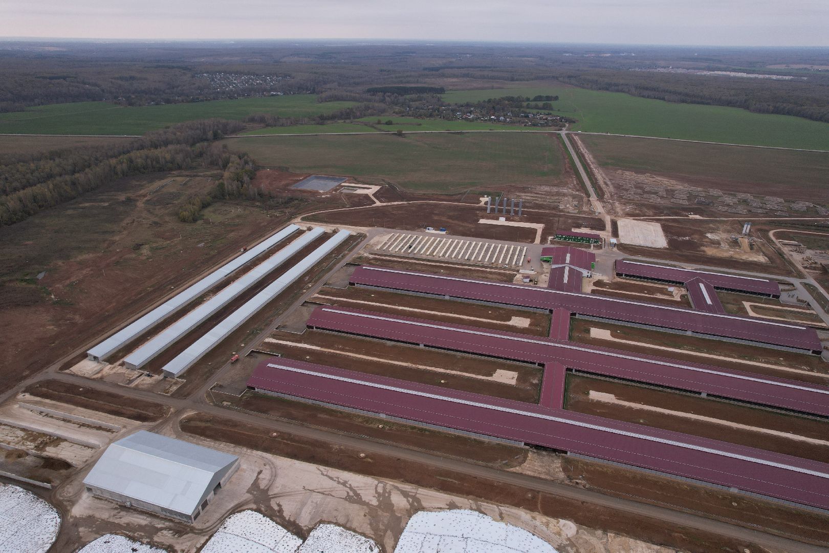 ступино, ферма, коровы,видео с коптера,