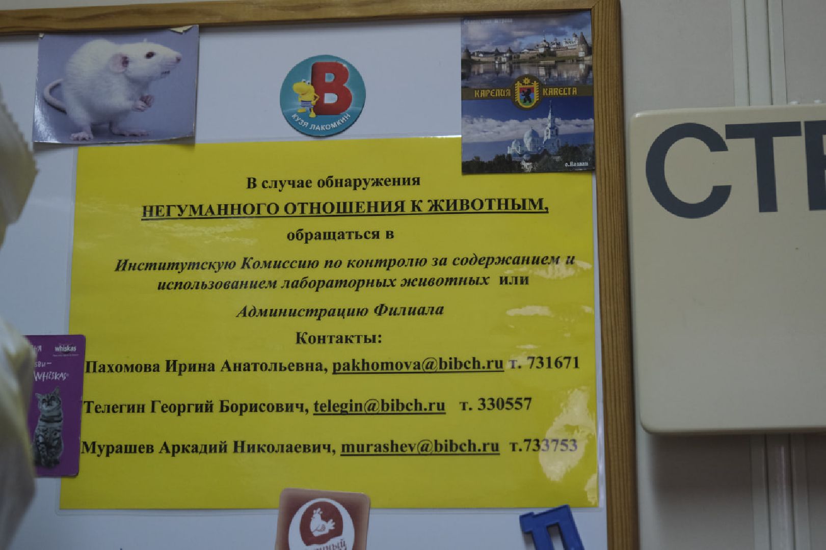 пущино, наука, медицина,