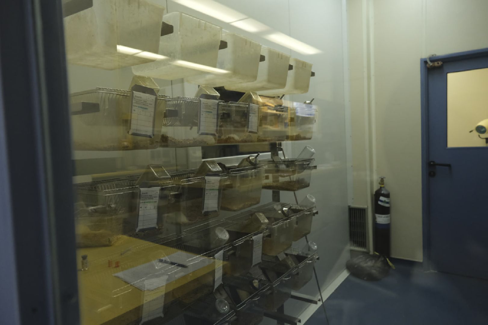 пущино, наука, медицина,