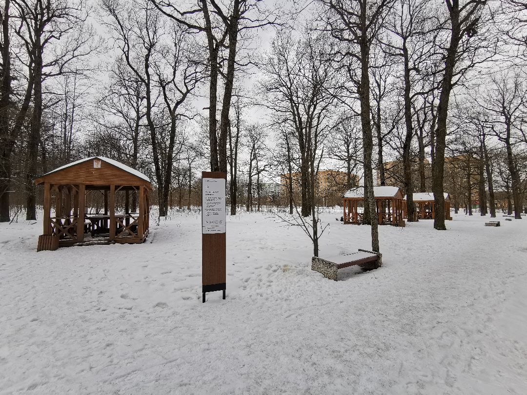 Подольск, строительство, школа