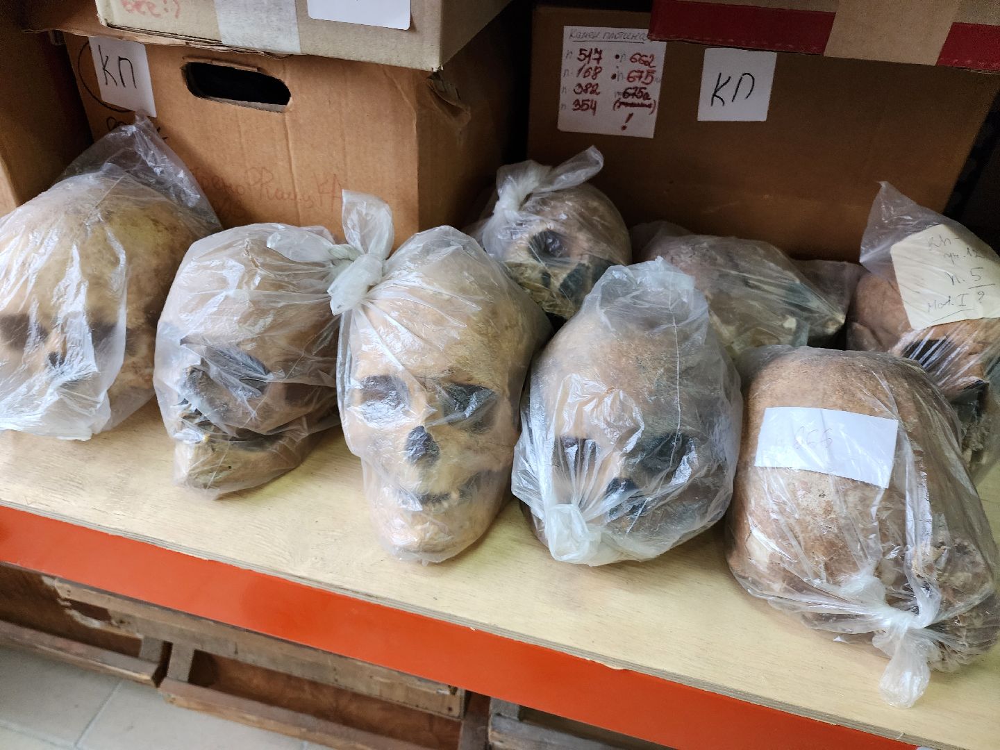 серпухов, подмосковье, средневековье, археология, исследования,