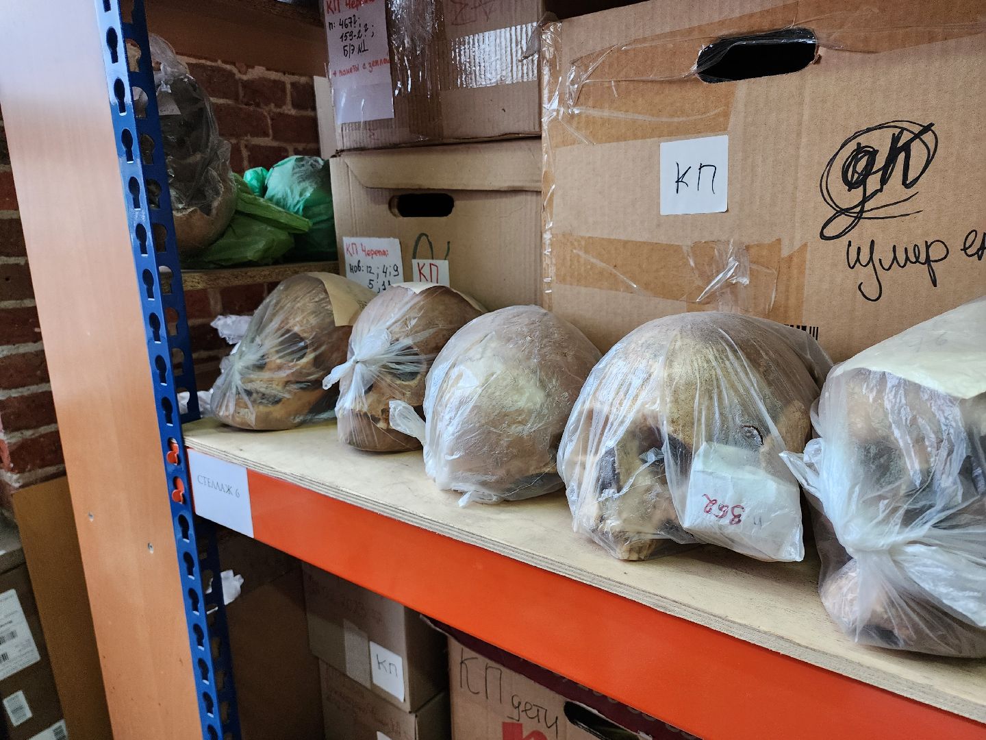 серпухов, подмосковье, средневековье, археология, исследования,